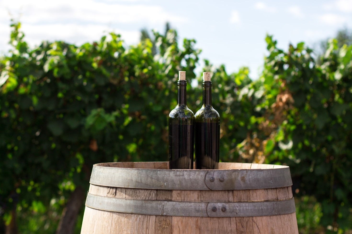 Il Vino Marsala: Un Viaggio nel Tempo